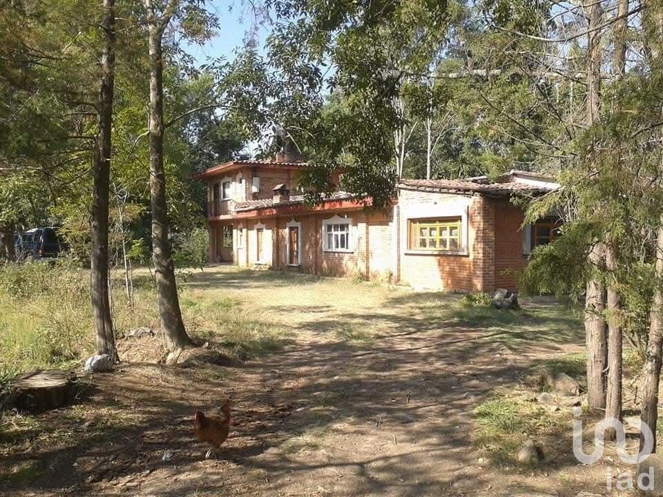 Farm Ranch in Ocurio, Michoacán, Mexico 2 - 16031537