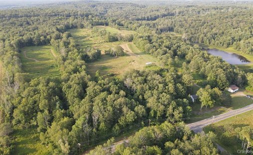 Terreno a Monticello, New York, Stati Uniti 1