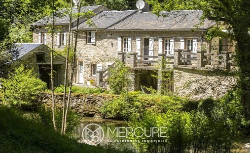 Castle for Sale in Saint-Pierre-de-Trivisy, Occitanie, France