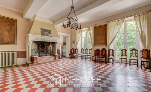 Magnificent Renaissance Style Château With 9ha Land, 2 Gîtes And Pool, 30 Minutes From Toulouse