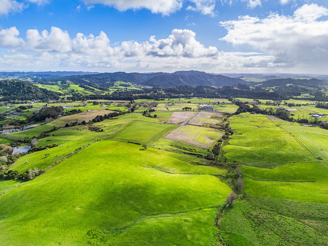 Farm Ranch in Waitoki, Auckland, New Zealand 1 - 16031306