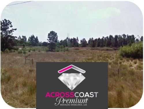 Land in Pegoes, Setubal, Portugal 4 - 16037878