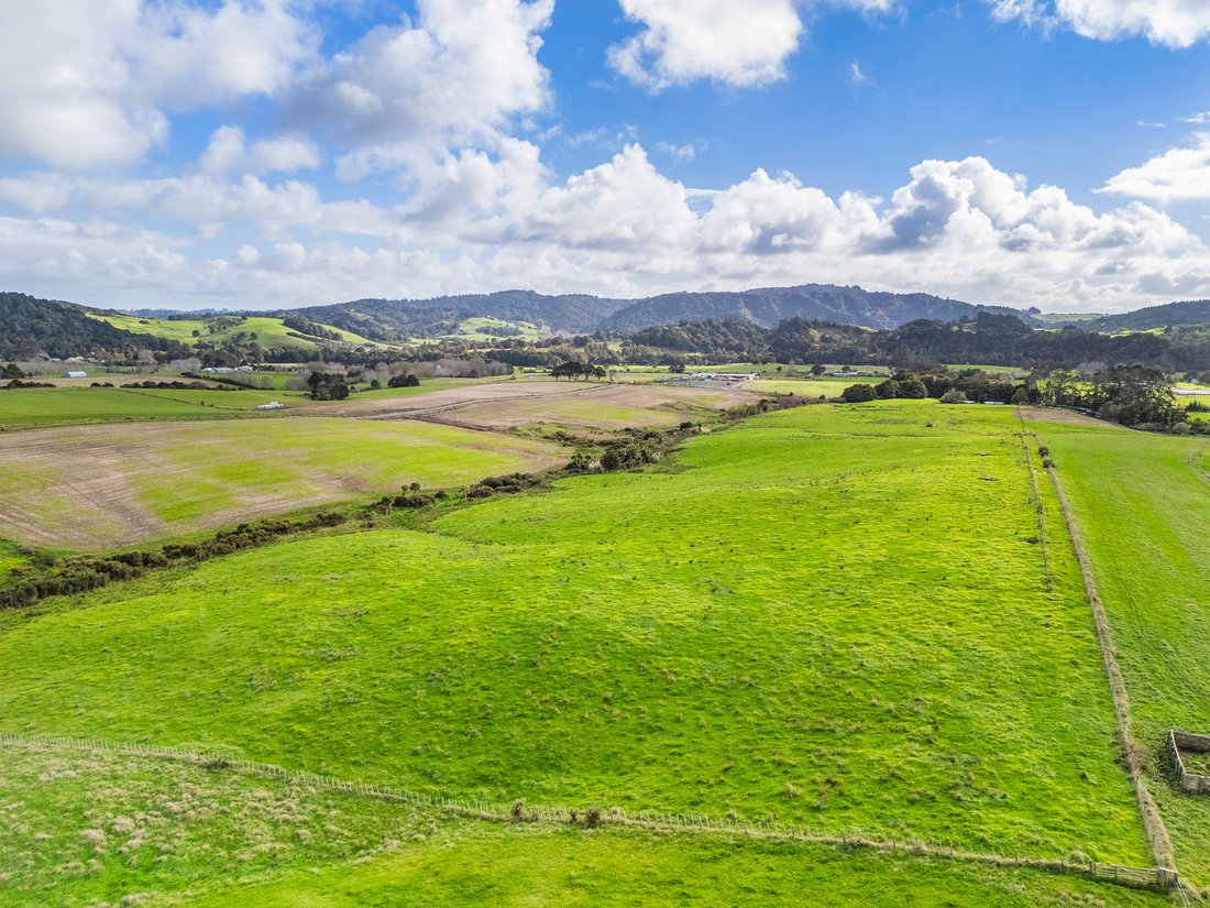 Farm Ranch in Waitoki, Auckland, New Zealand 3 - 16031306