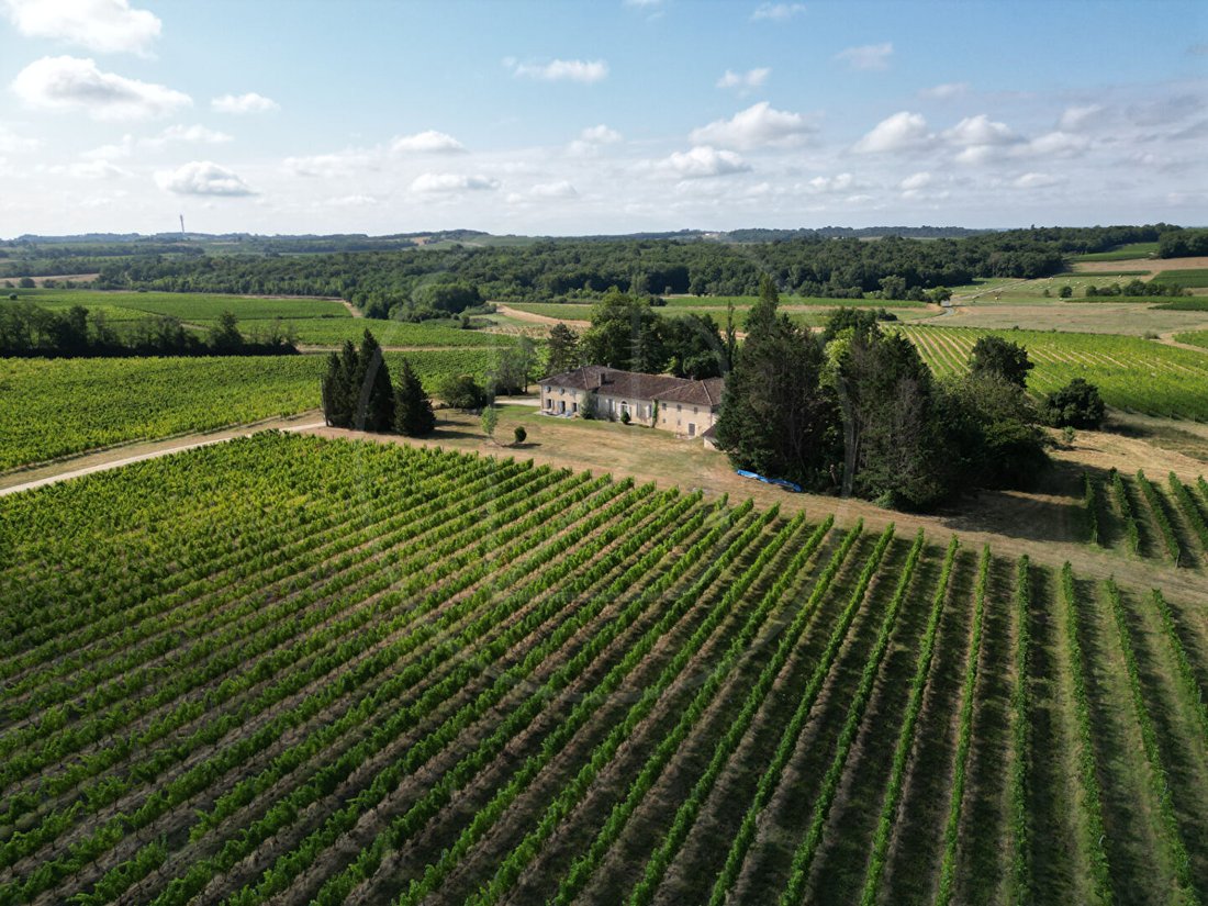 Château des Rêves Éternels – A Vineyard Crown in Aquitaine’s Golden Hills