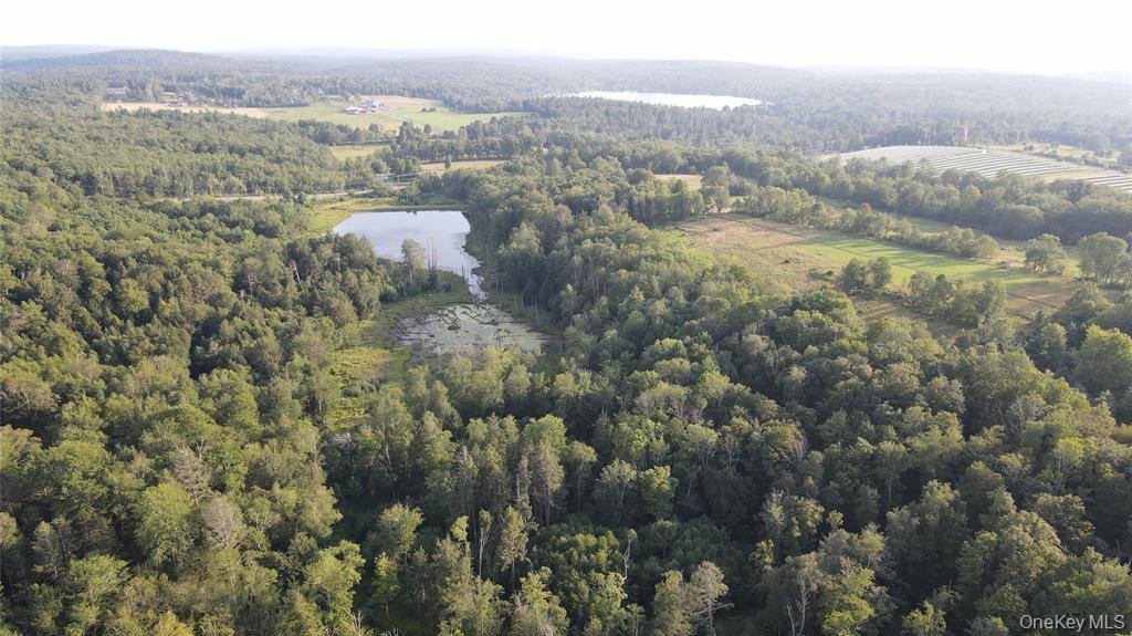 Land in Monticello, New York, United States 4 - 16035414