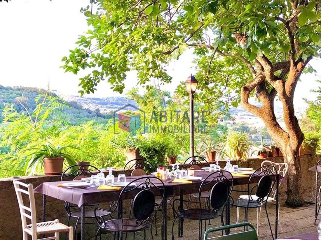 Villa in Bibbona, Tuscany, Italy 2 - 16035812