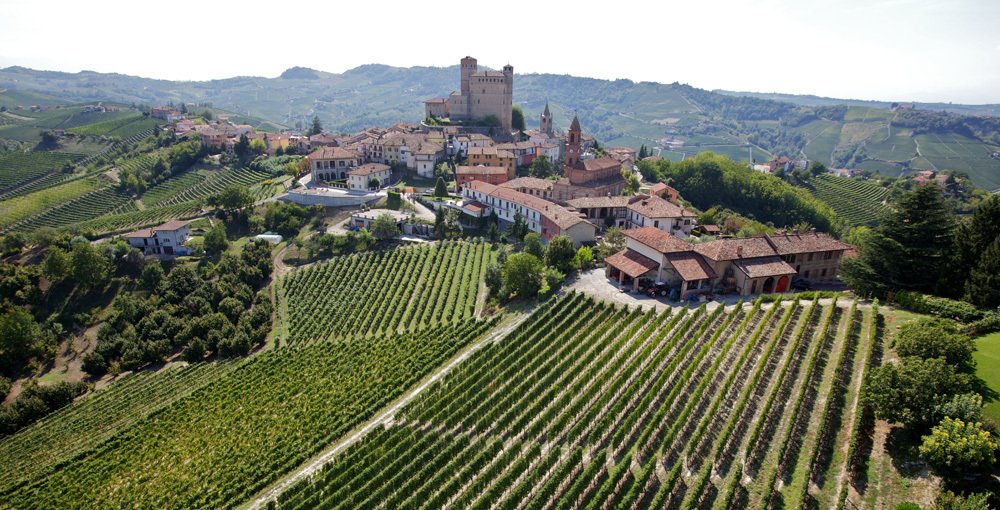 Land in Serralunga d'Alba, Piedmont, Italy 1 - 16033341