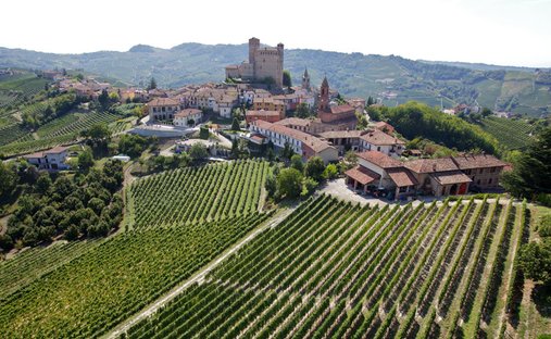 Land in Serralunga d'Alba, Piedmont, Italy 1