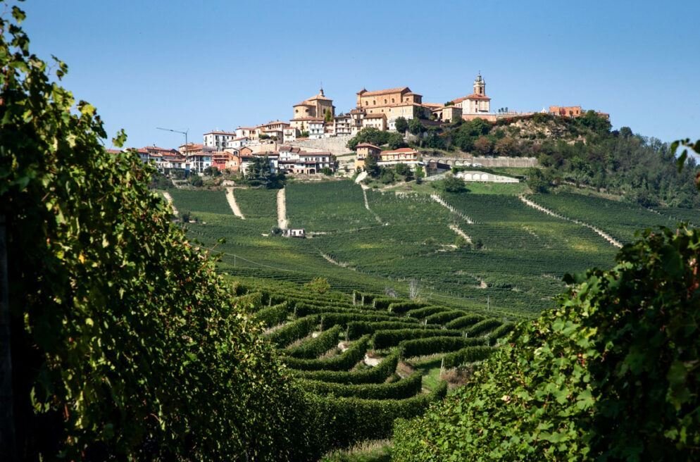 Land in La Morra, Piedmont, Italy 1 - 16033338