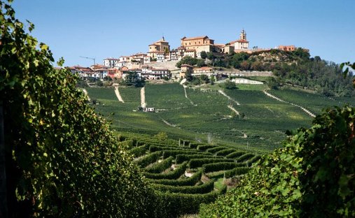 Land in La Morra, Piedmont, Italy 1