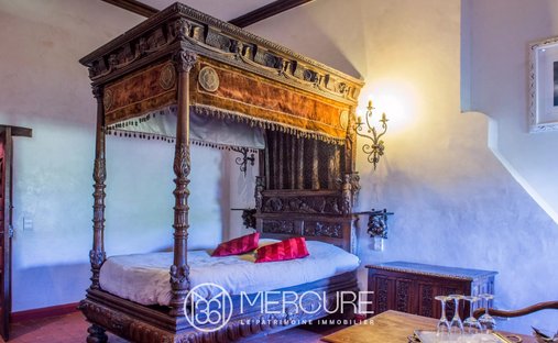 Castle for Sale in Rodez, Occitanie, France