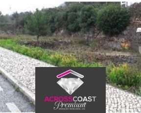 Land in Minde, Santarem District, Portugal 5 - 16037911