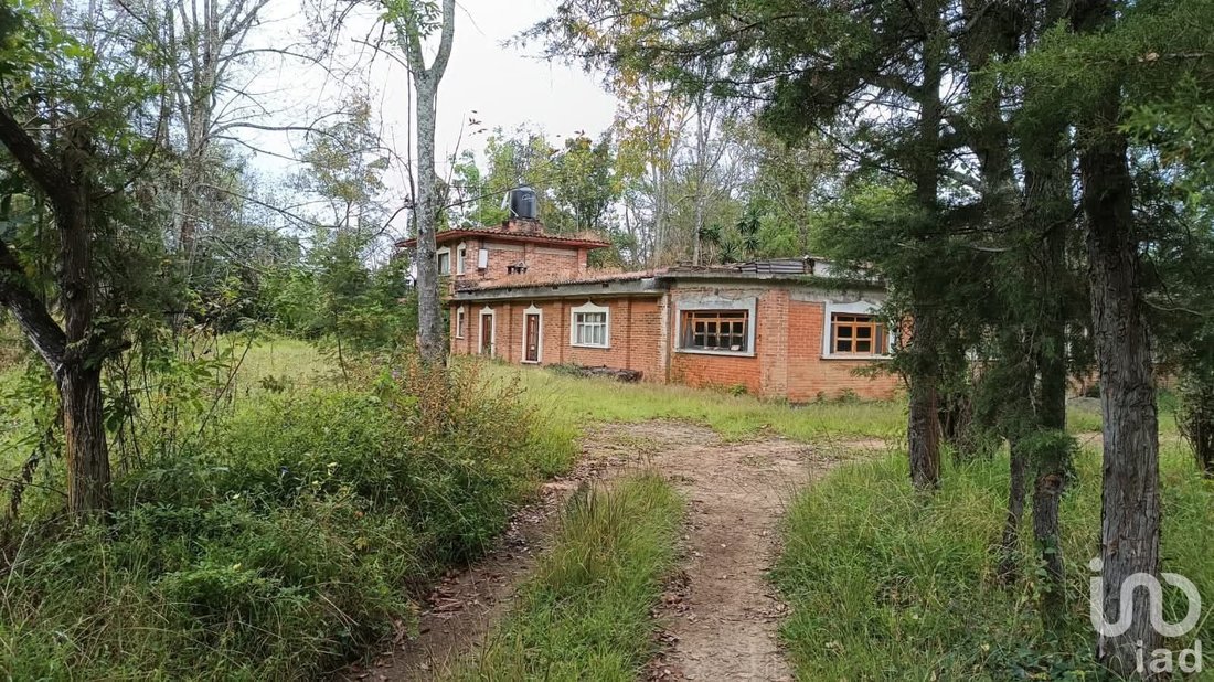 Farm Ranch in Ocurio, Michoacán, Mexico 1 - 16031537