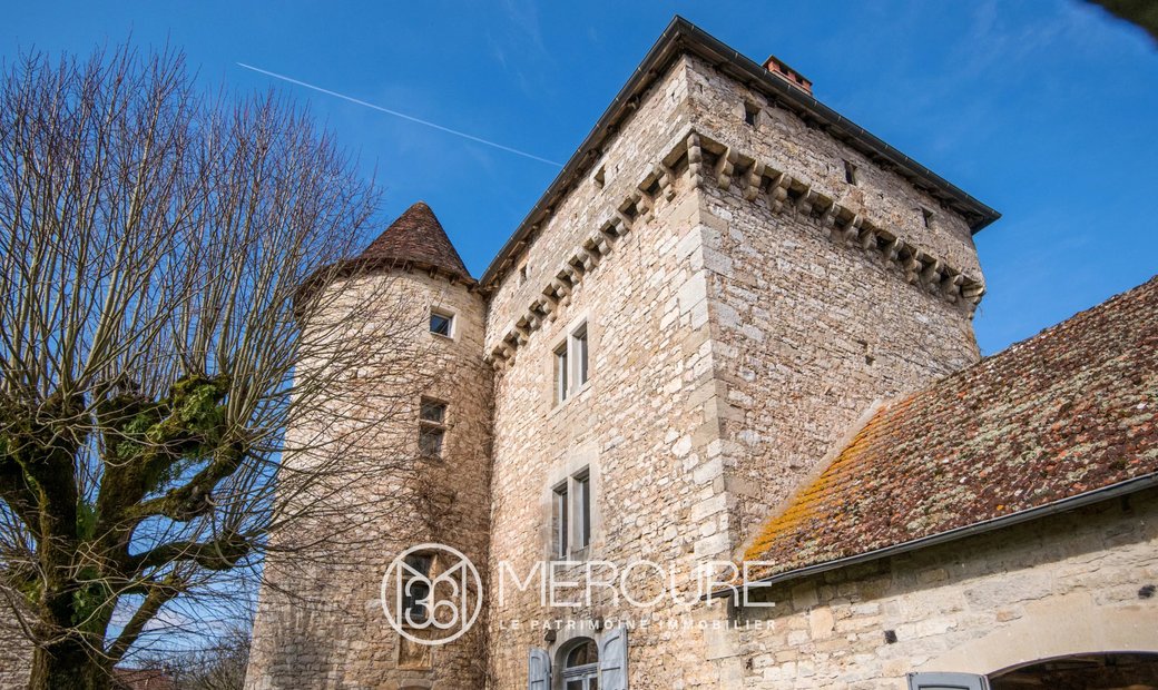 Castle for Sale in Ambeyrac, Occitanie, France
