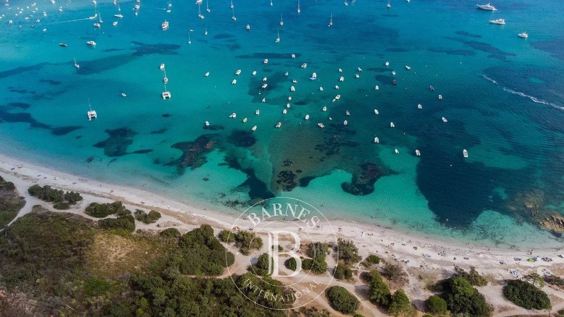 Land in Sainte-Lucie-de-Porto-Vecchio, Corsica, France 2 - 14416359