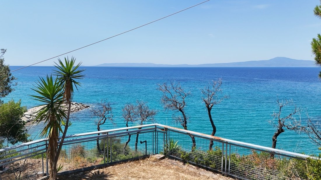 House in Avia, Peloponnese, Western Greece and the Ionian, Greece 1 - 16035193