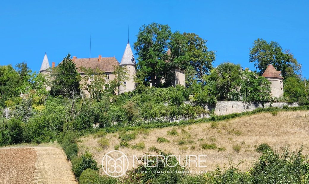 Allier, In The Sioule Valley Authentic XIII XVI Ith Century Castle And Its Outbuildings