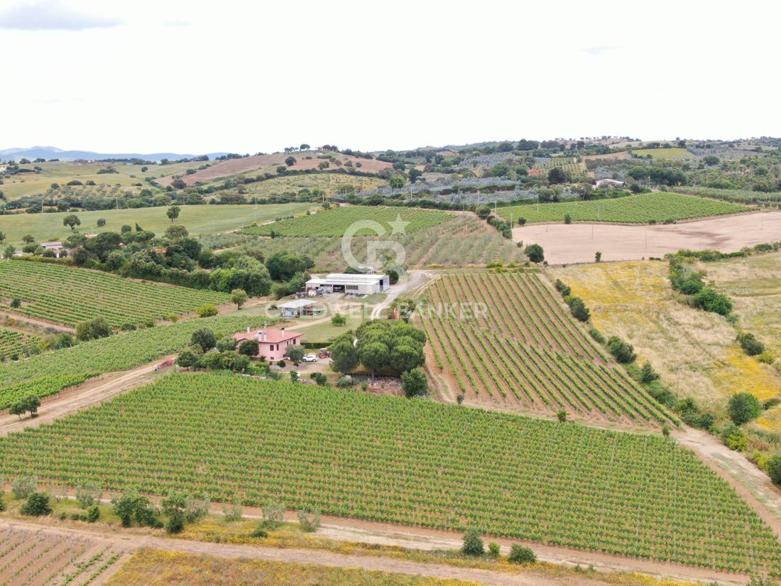 Farm Ranch in Grosseto, Tuscany, Italy 4 - 16039951