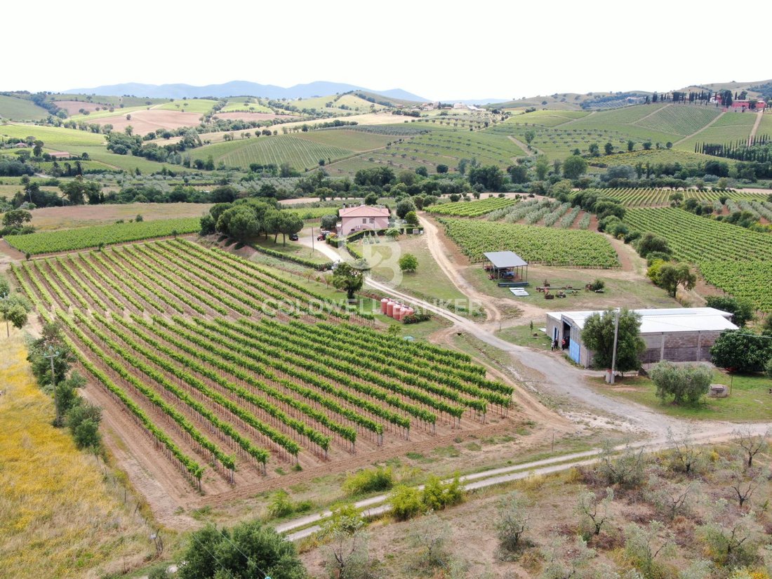 Farm Ranch in Grosseto, Tuscany, Italy 2 - 16039951