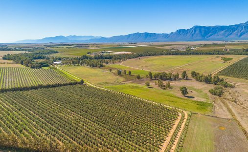 Azienda agricola a Wellington, Capo Occidentale, Sudafrica 1