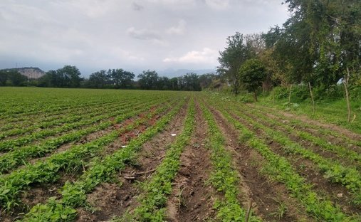 Land in La Nopalera, Morelos, Mexiko 1