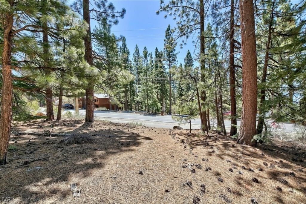 Land in Incline Village, Nevada, United States 1 - 11989849