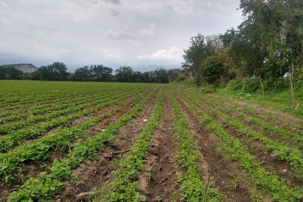Terreno a La Nopalera, Morelos, Messico 2 - 16040298