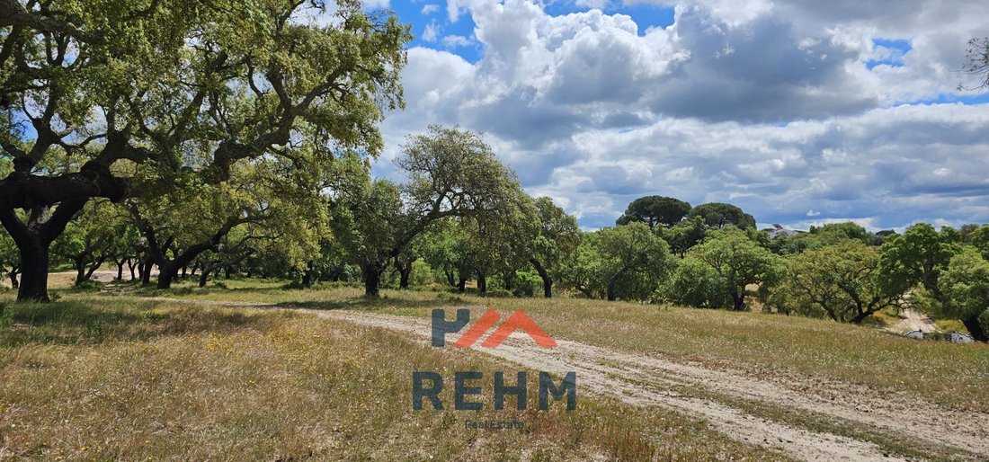 Land in Alcorrego e Maranhao, Portalegre District, Portugal 3 - 16041515