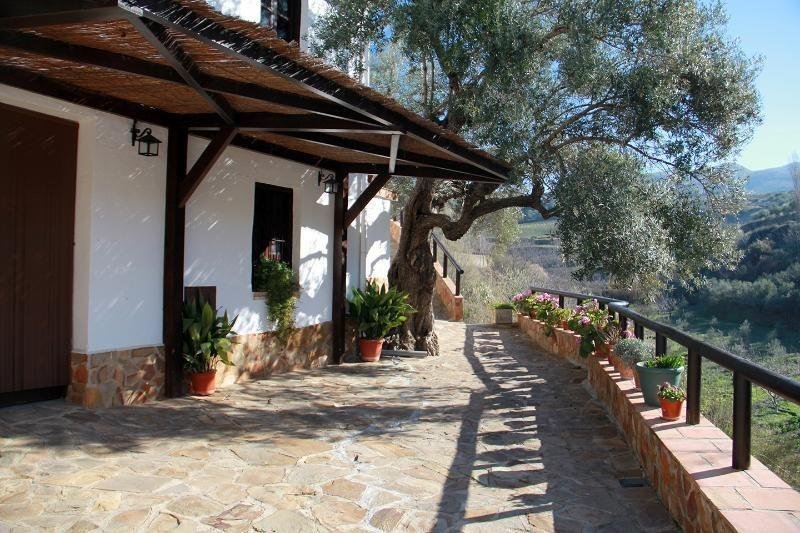 Country House in Monachil, Andalusia, Spain 5 - 16043890
