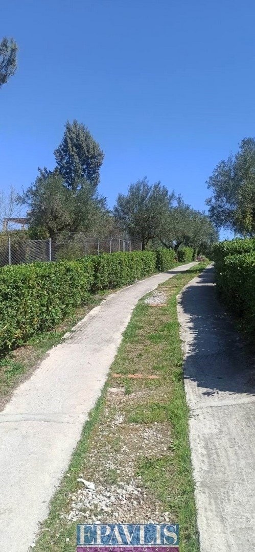Condo in Oropos, Attica, Greece 5 - 16043329