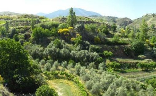 Casa di campagna a Monachil, Andalusia, Spagna 1