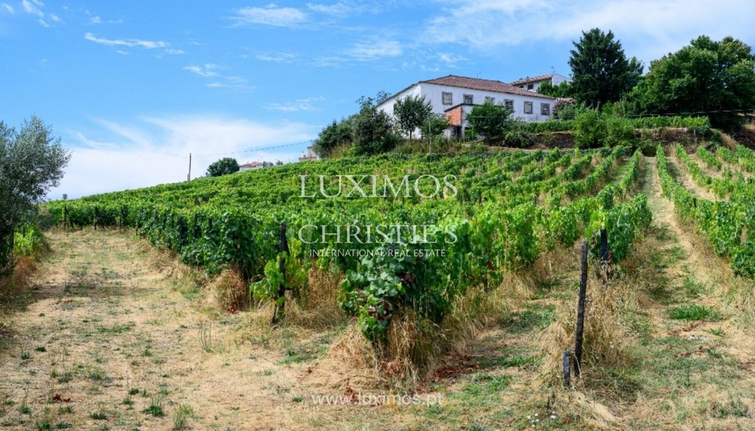 Farm Ranch in Lobrigos (Sao Miguel e Sao Joao Baptista) e Sanhoane, Vila Real District, Portugal 2 - 16003012
