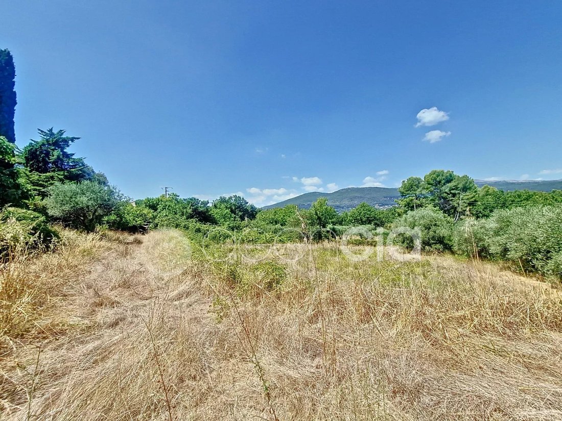 Villa in Grasse, Provence-Alpes-Côte d'Azur, France 3 - 16042597