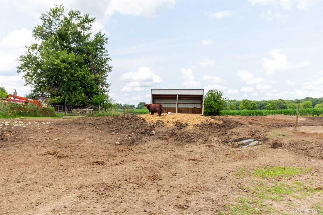 Land in Ann Arbor, Michigan, United States 5 - 14650137