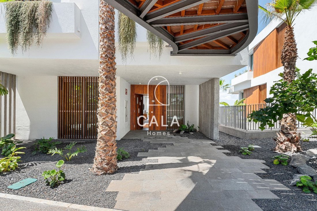 Apartment in Salud-La Salle, Santa Cruz De Tenerife, Spain 2 - 16042453