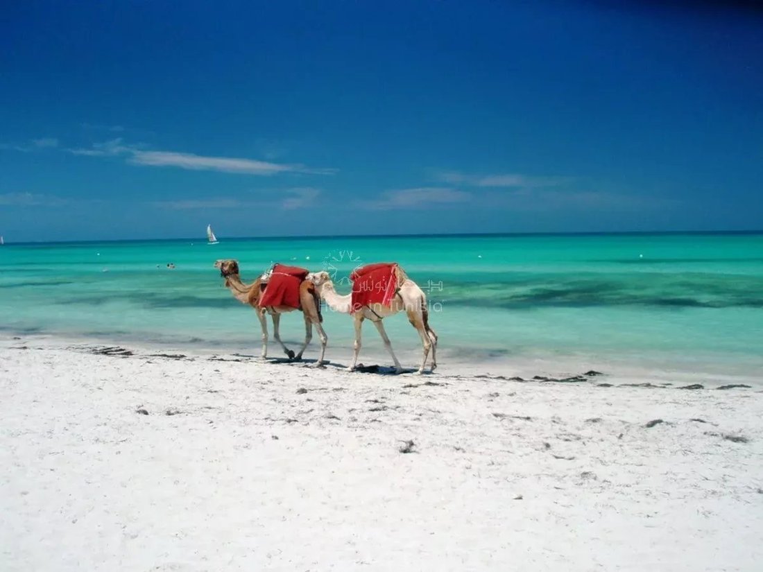 Djerba Midun, Medenine, Tunisia 1 - 12144997