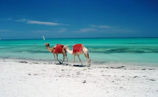 Djerba Midun, Gouvernement Medenine, Tunesien 1