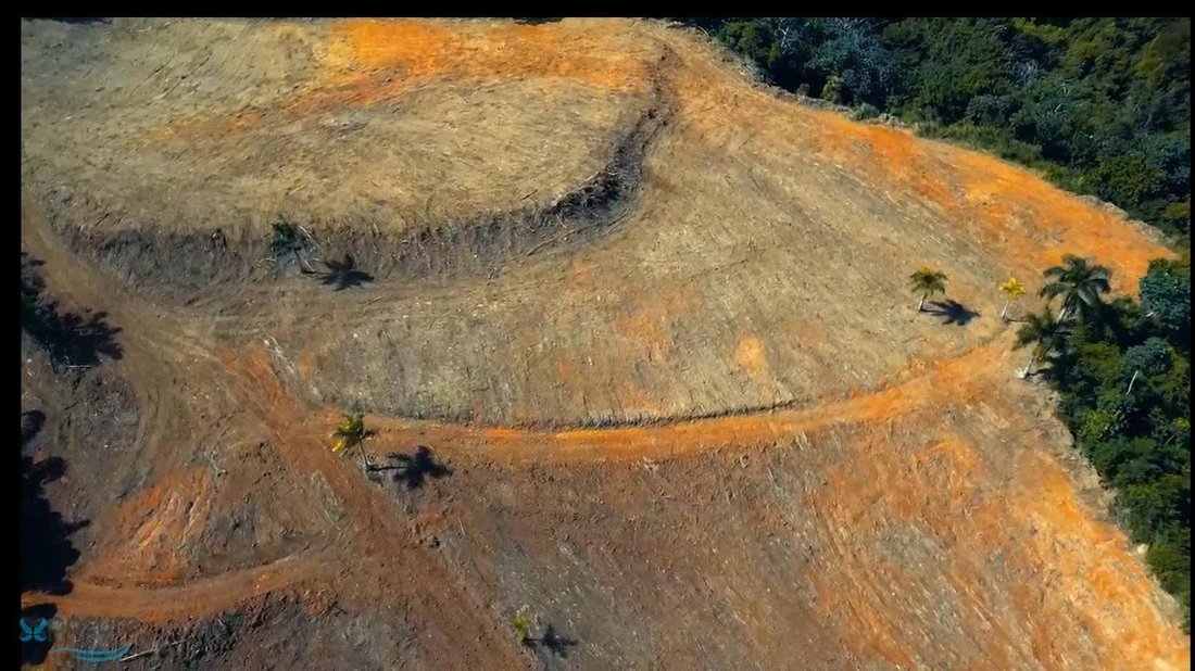 Land in Rincon, New Mexico, United States 5 - 16045732