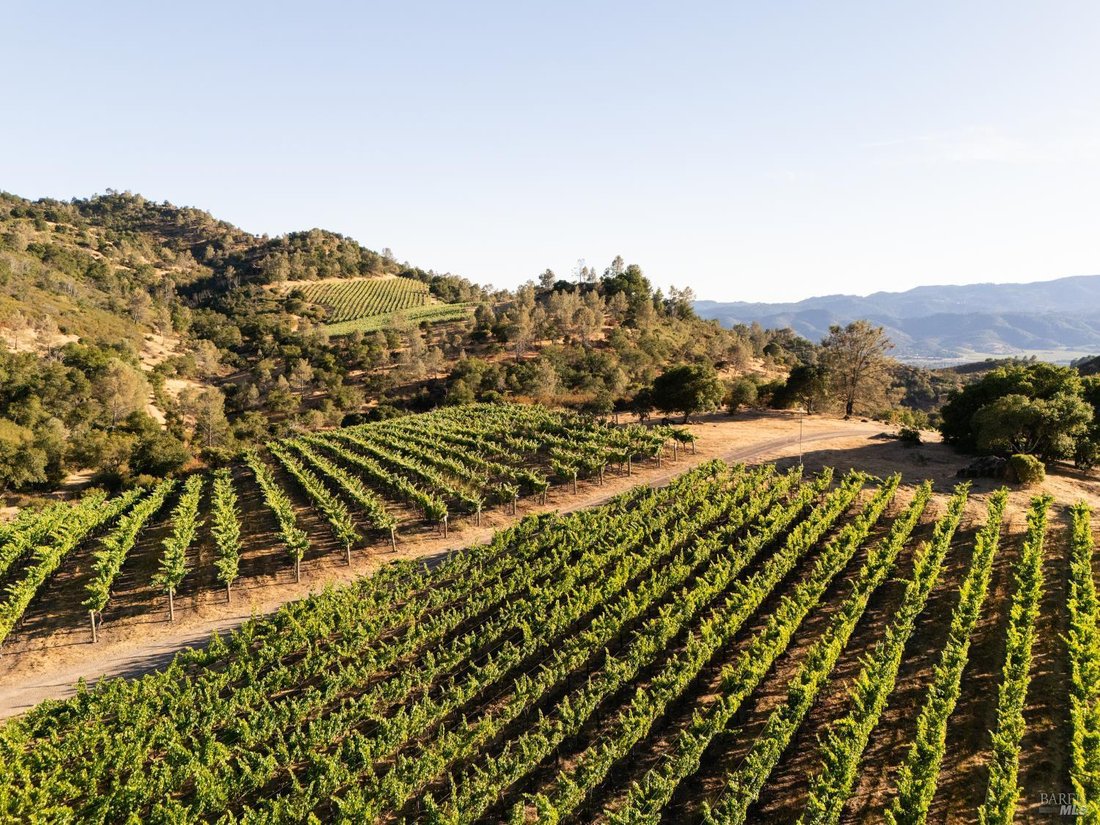 Farm Ranch in Napa, California, United States 4 - 16045385