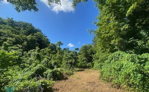 Land in Arecibo, Arecibo, Puerto Rico 1