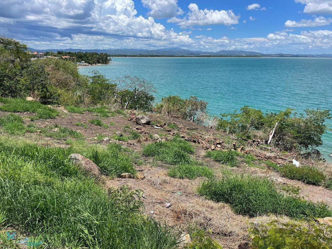 Land in Añasco, Añasco, Puerto Rico 1 - 16046408