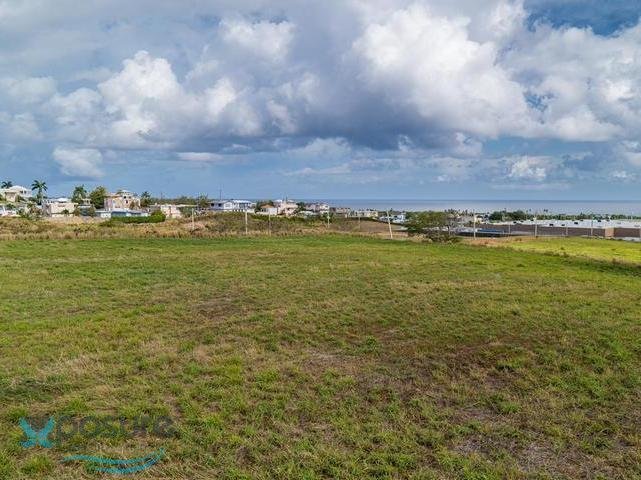 Land in Carrizales, Hatillo, Puerto Rico 3 - 16046298