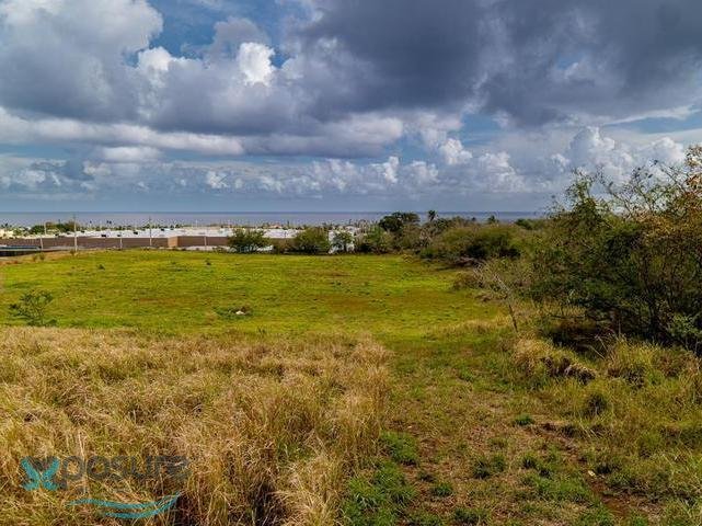 Land in Carrizales, Hatillo, Puerto Rico 5 - 16046298