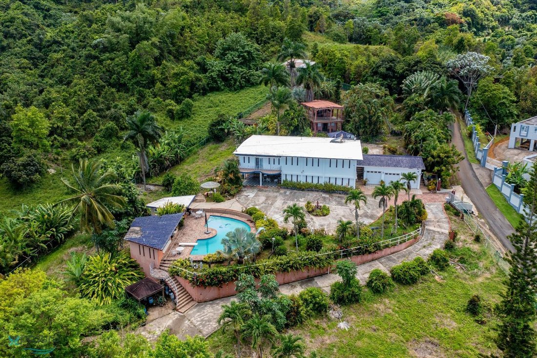 House in Fajardo, Fajardo, Puerto Rico 3 - 16045870