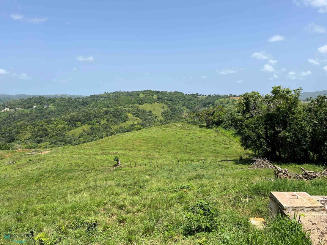 Land in Voladoras, Moca, Puerto Rico 3 - 16045795
