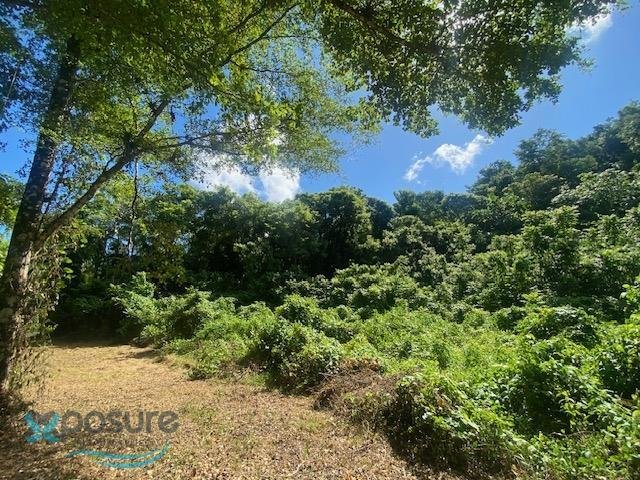 Land in Arecibo, Arecibo, Puerto Rico 3 - 16045497