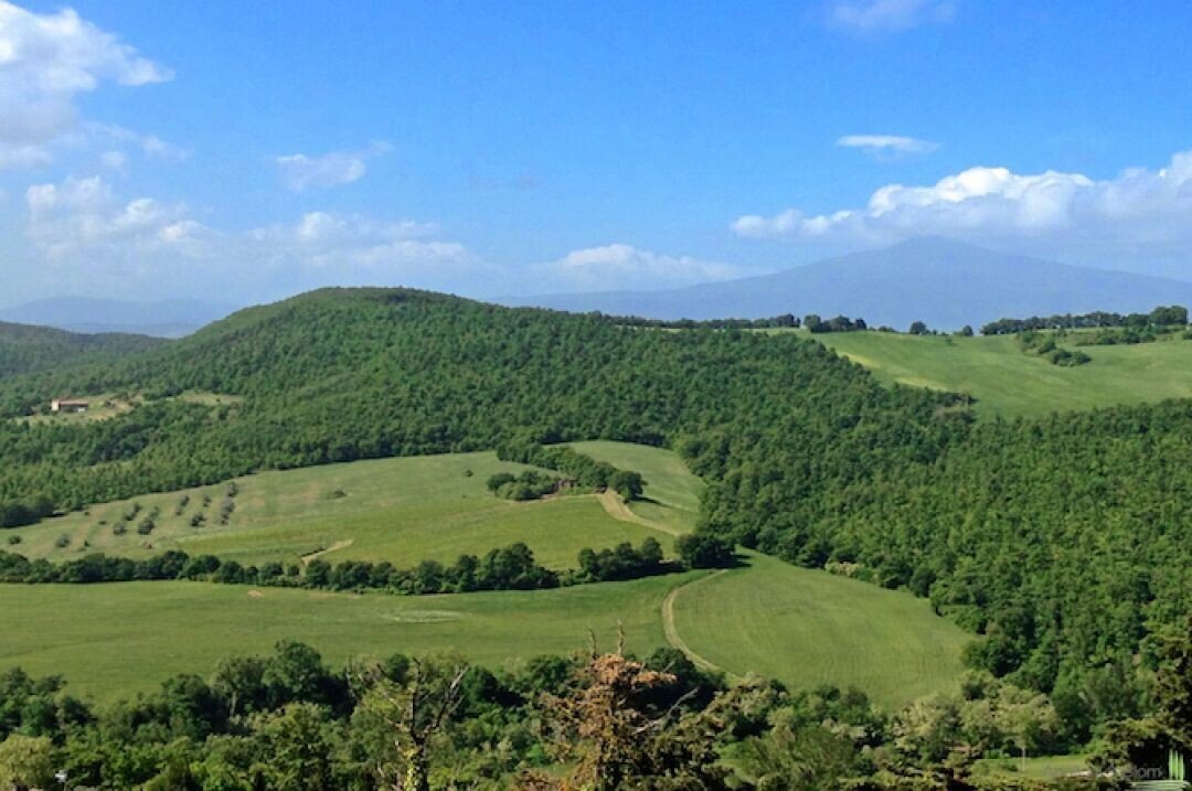 I Merli: A Tuscan Crown Jewel Where Time Stands Still