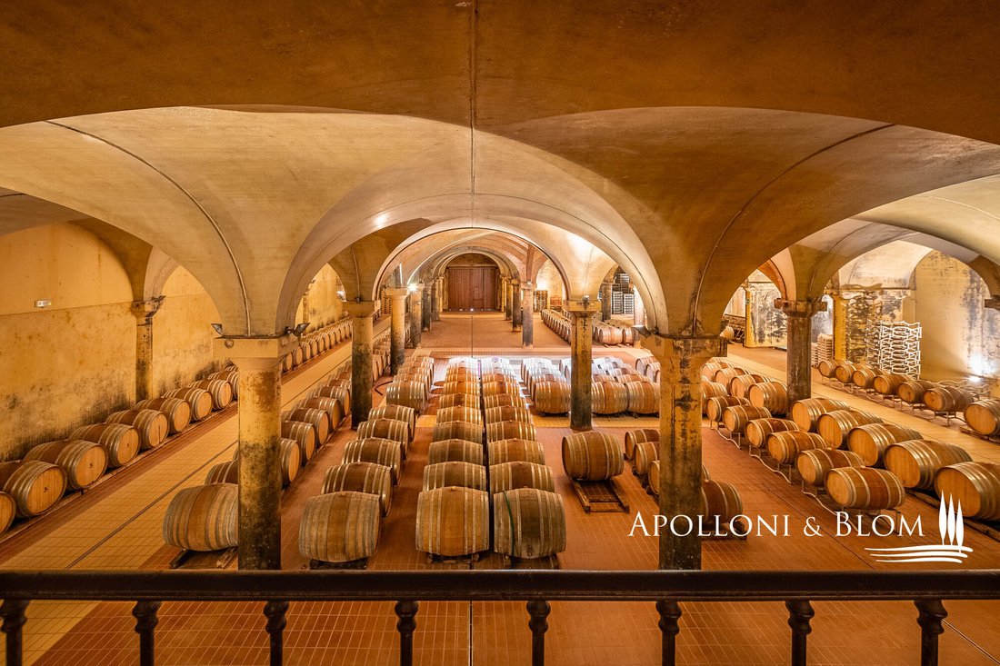 Castellina in Chianti, Tuscany, Italy 1 - 13635109