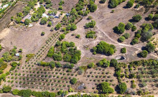 House in Center, Olbia, Italy 1