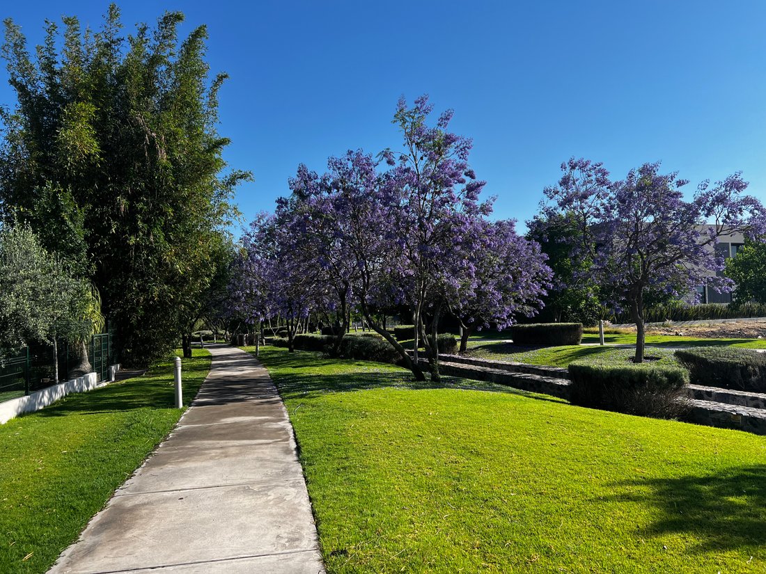 Land in Santiago de Querétaro, Querétaro, Mexico 1 - 16048553